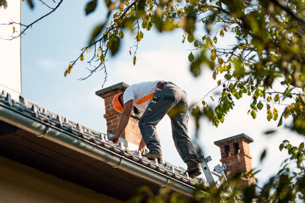 Best New Roof Installation  in New Madison, OH