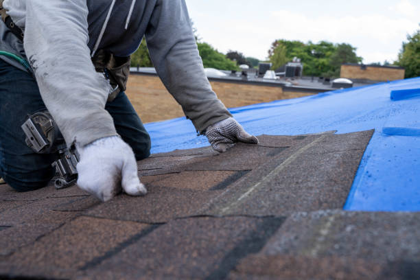 Best Shingle Roofing Installation  in New Madison, OH