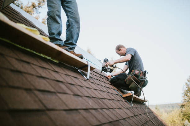 Best Metal Roofing Contractor  in New Madison, OH
